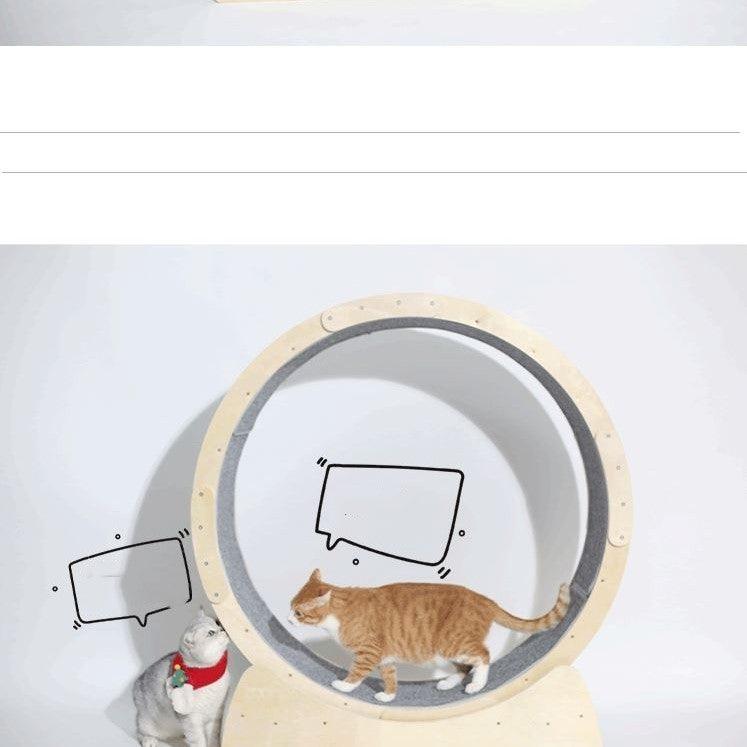 Cat Fitness Fun Roller-4