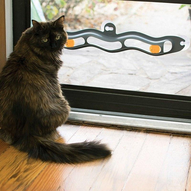 Interactive Cat Track Ball Window Suction Cup Toy-2