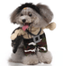 Funny Cosplay Pet Costume Set: Cute Cartoon Dog Outfit For Halloween And Christmas Dress-Up-1